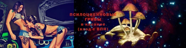 ГАЛЛЮЦИНОГЕННЫЕ ГРИБЫ Краснослободск