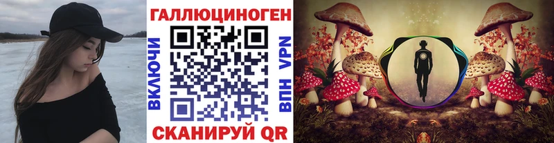 Галлюциногенные грибы Psilocybine cubensis  Ахтубинск 