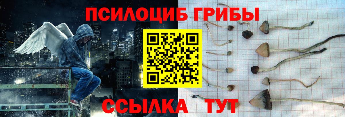 Псилоцибиновые грибы Magic Shrooms Ахтубинск