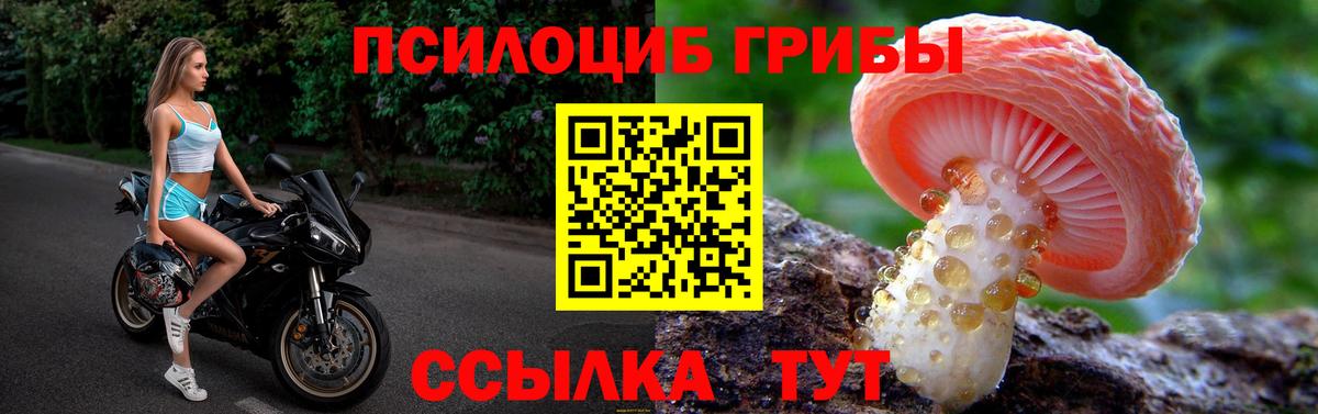 Псилоцибиновые грибы GOLDEN TEACHER  Вход с VPN  Галлюциногенные грибы Psilocybine cubensis  Ахтубинск 